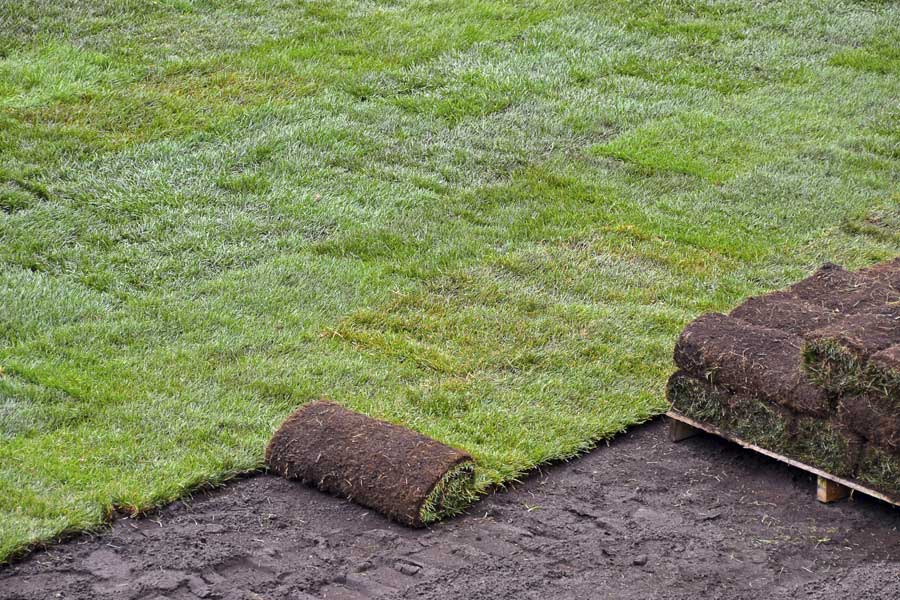 Grass Installation Grass Installation